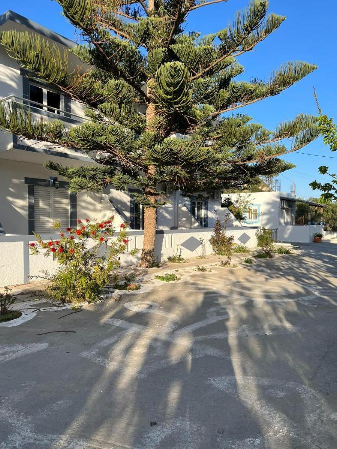 Dionisia Apartments 8 케팔로스 외부 사진